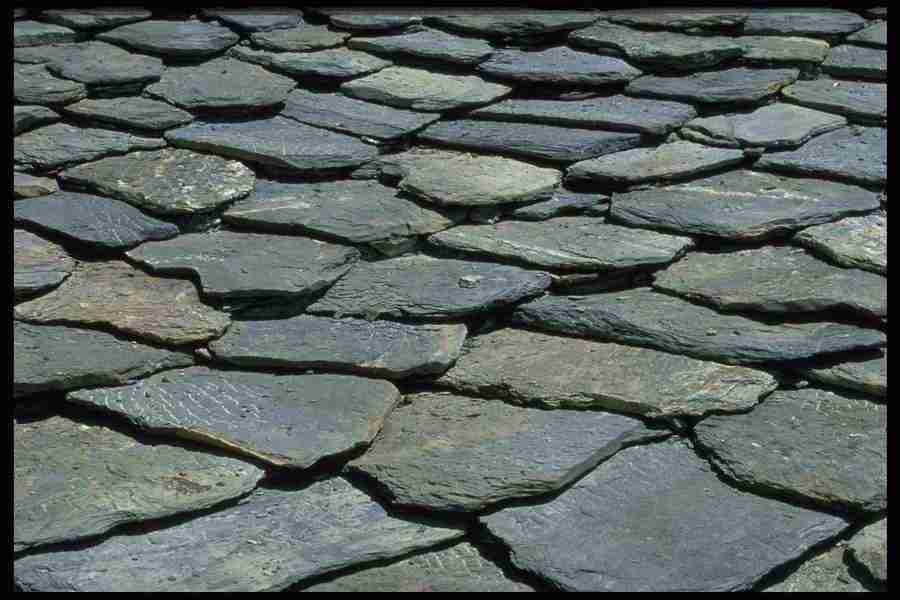 Patterns & Designs - Corel Professional Photos ></a>
<script language=JavaScript> 
  var txt = 