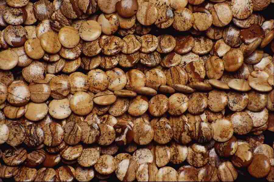 Patterns & Designs - Corel Professional Photos ></a>
<script language=JavaScript> 
  var txt = 