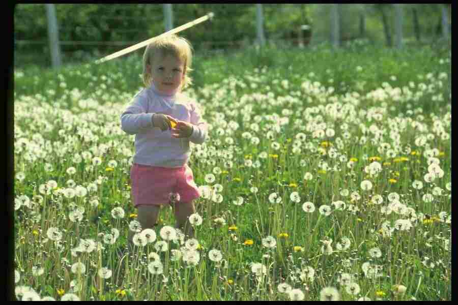 People - Corel Professional Photos ></a>
<script language=JavaScript> 
  var txt = 