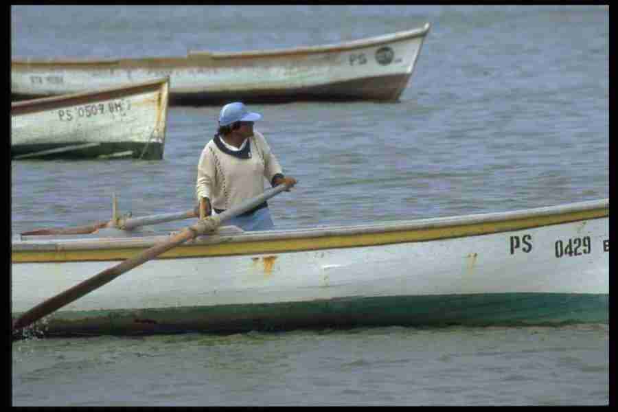 People - Corel Professional Photos ></a>
<script language=JavaScript> 
  var txt = 