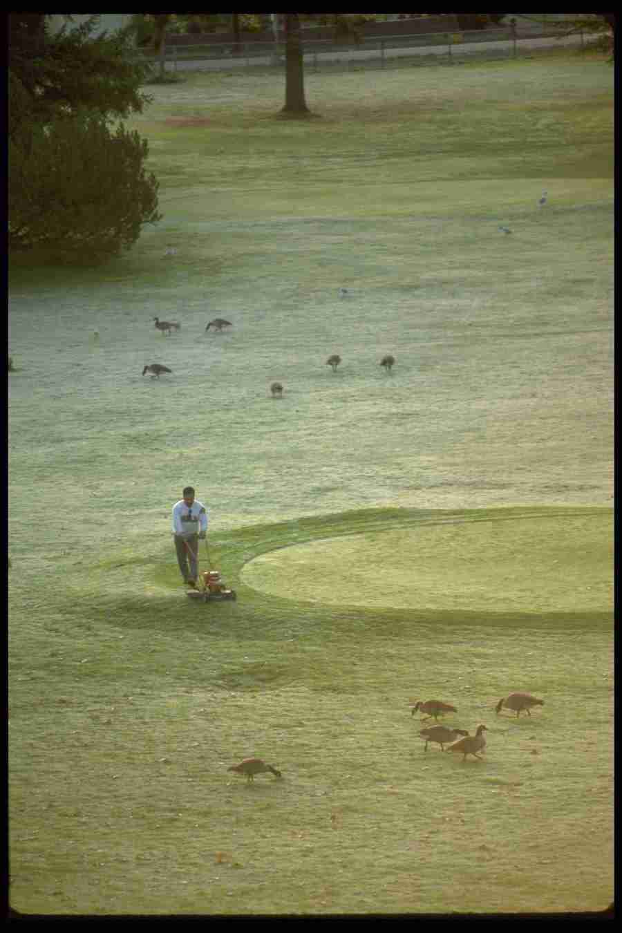 People - Corel Professional Photos ></a>
<script language=JavaScript> 
  var txt = 