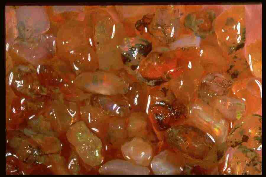 Patterns In Stone - Corel Professional Photos ></a>
<script language=JavaScript> 
  var txt = 