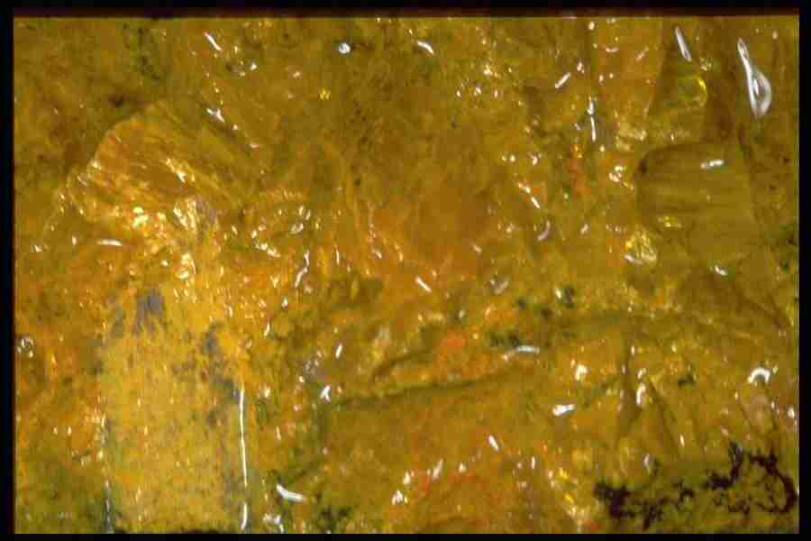 Patterns In Stone - Corel Professional Photos ></a>
<script language=JavaScript> 
  var txt = 