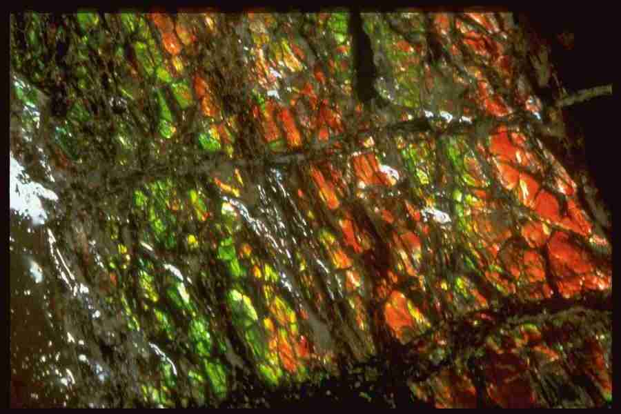 Patterns In Stone - Corel Professional Photos ></a>
<script language=JavaScript> 
  var txt = 