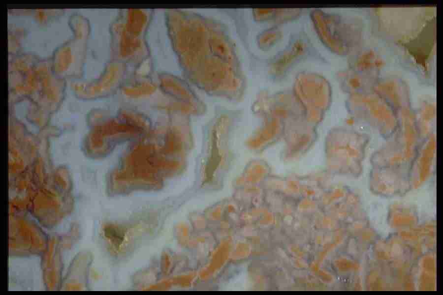 Patterns In Stone - Corel Professional Photos ></a>
<script language=JavaScript> 
  var txt = 