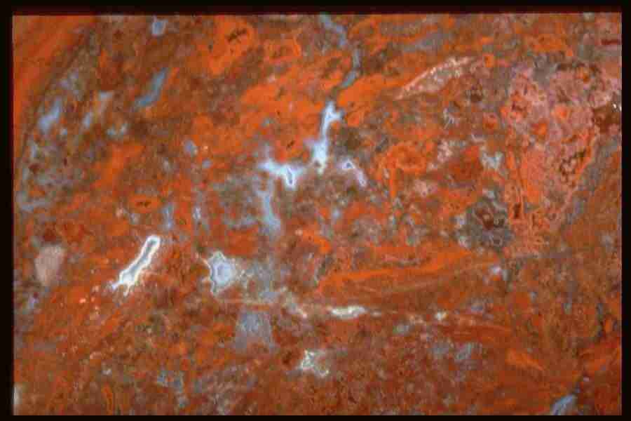 Patterns In Stone - Corel Professional Photos ></a>
<script language=JavaScript> 
  var txt = 