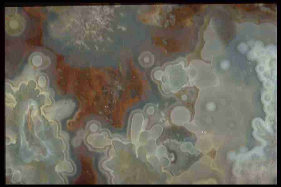 Patterns In Stone - Corel Professional Photos ></a>
<script language=JavaScript> 
  var txt = 