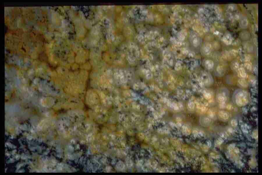 Patterns In Stone - Corel Professional Photos ></a>
<script language=JavaScript> 
  var txt = 