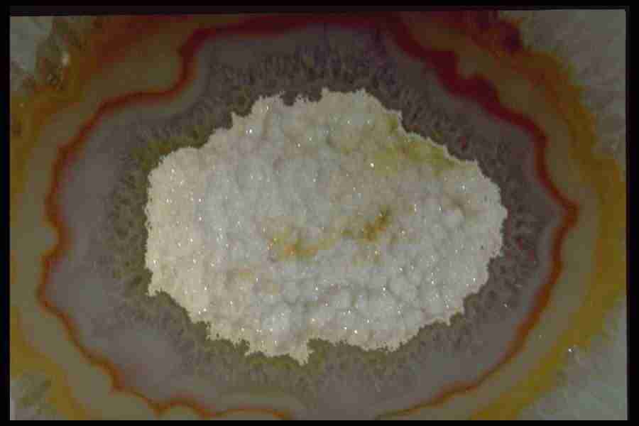 Patterns In Stone - Corel Professional Photos ></a>
<script language=JavaScript> 
  var txt = 