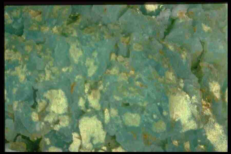 Patterns In Stone - Corel Professional Photos ></a>
<script language=JavaScript> 
  var txt = 