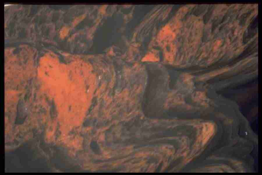 Patterns In Stone - Corel Professional Photos ></a>
<script language=JavaScript> 
  var txt = 