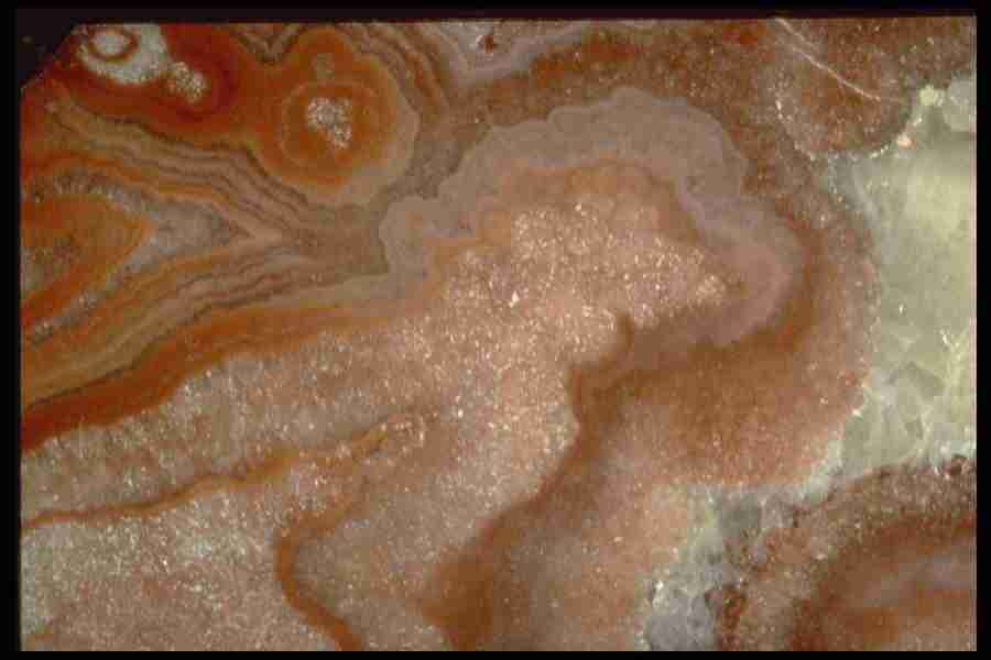 Patterns In Stone - Corel Professional Photos ></a>
<script language=JavaScript> 
  var txt = 