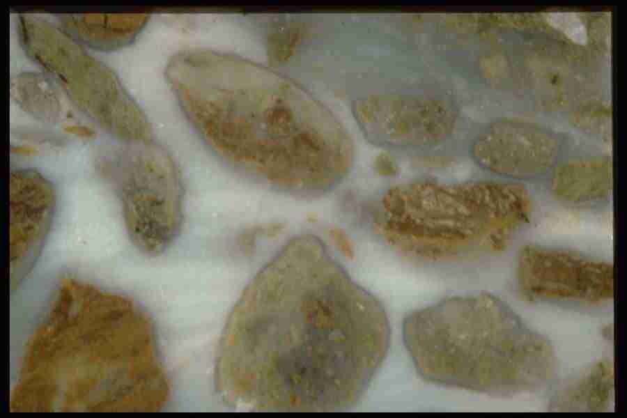 Patterns In Stone - Corel Professional Photos ></a>
<script language=JavaScript> 
  var txt = 