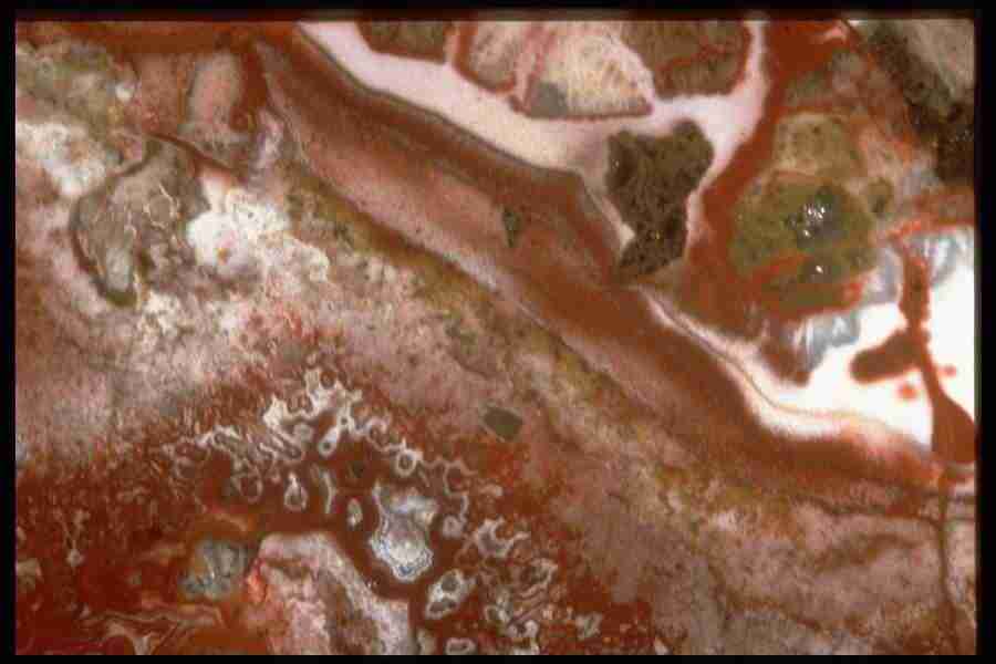 Patterns In Stone - Corel Professional Photos ></a>
<script language=JavaScript> 
  var txt = 