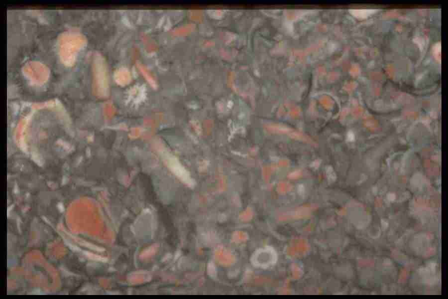 Patterns In Stone - Corel Professional Photos ></a>
<script language=JavaScript> 
  var txt = 