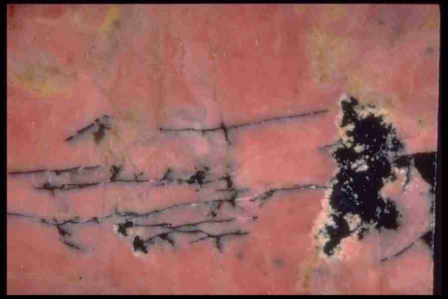 Patterns In Stone - Corel Professional Photos ></a>
<script language=JavaScript> 
  var txt = 