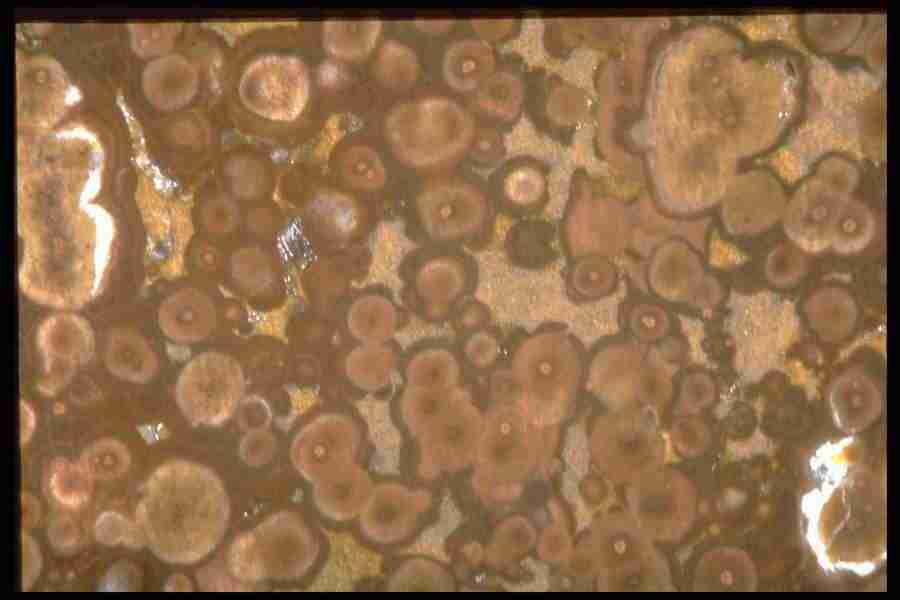 Patterns In Stone - Corel Professional Photos ></a>
<script language=JavaScript> 
  var txt = 