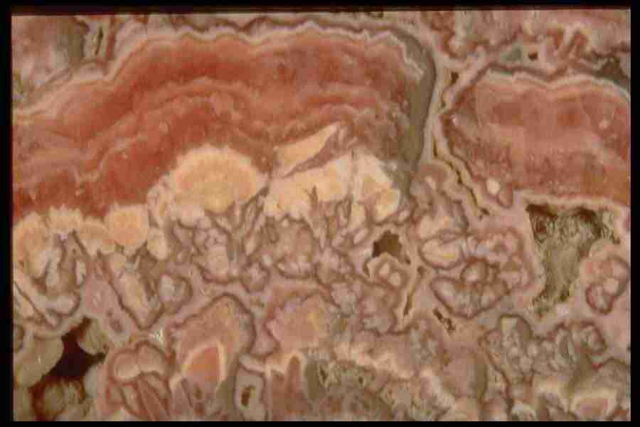 Patterns In Stone - Corel Professional Photos ></a>
<script language=JavaScript> 
  var txt = 