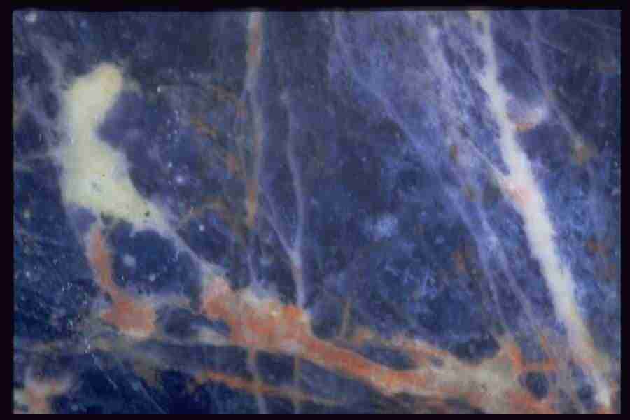 Patterns In Stone - Corel Professional Photos ></a>
<script language=JavaScript> 
  var txt = 