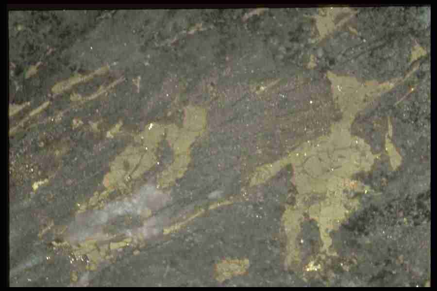 Patterns In Stone - Corel Professional Photos ></a>
<script language=JavaScript> 
  var txt = 