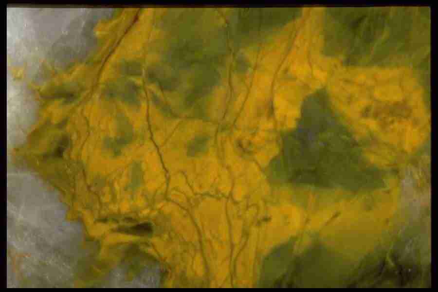 Patterns In Stone - Corel Professional Photos ></a>
<script language=JavaScript> 
  var txt = 