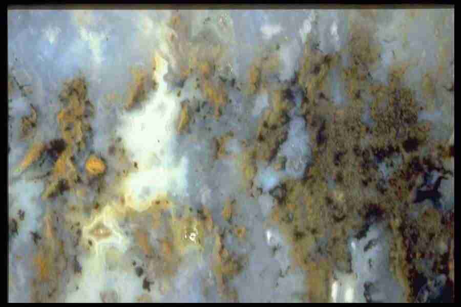 Patterns In Stone - Corel Professional Photos ></a>
<script language=JavaScript> 
  var txt = 