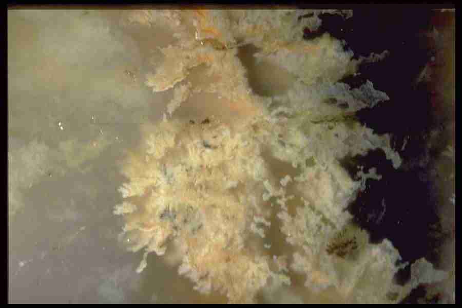 Patterns In Stone - Corel Professional Photos ></a>
<script language=JavaScript> 
  var txt = 