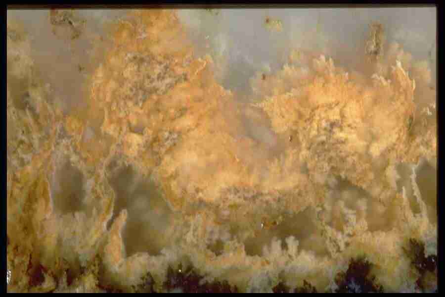 Patterns In Stone - Corel Professional Photos ></a>
<script language=JavaScript> 
  var txt = 