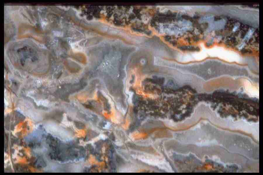 Patterns In Stone - Corel Professional Photos ></a>
<script language=JavaScript> 
  var txt = 