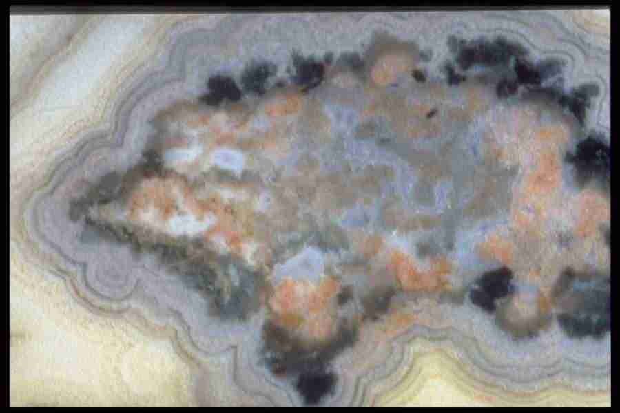 Patterns In Stone - Corel Professional Photos ></a>
<script language=JavaScript> 
  var txt = 