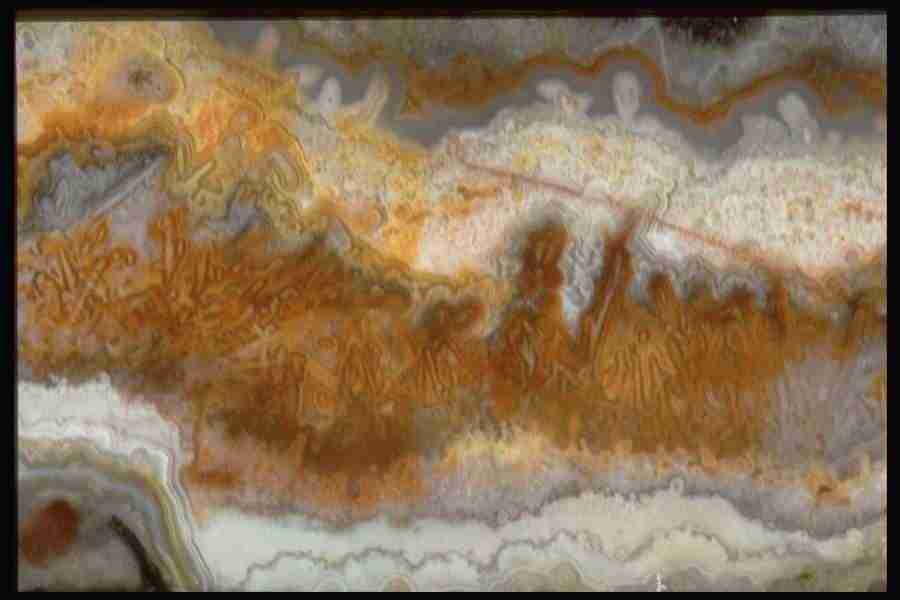 Patterns In Stone - Corel Professional Photos ></a>
<script language=JavaScript> 
  var txt = 