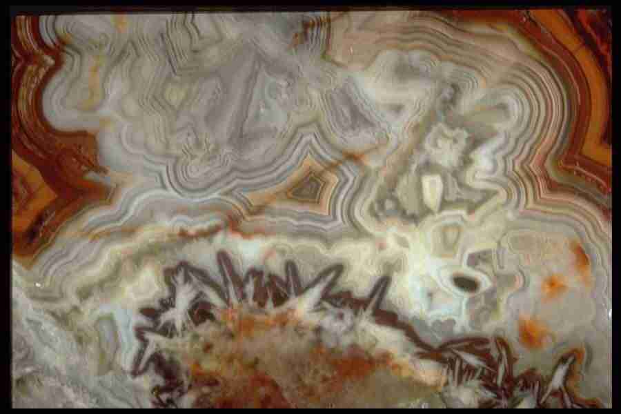 Patterns In Stone - Corel Professional Photos ></a>
<script language=JavaScript> 
  var txt = 