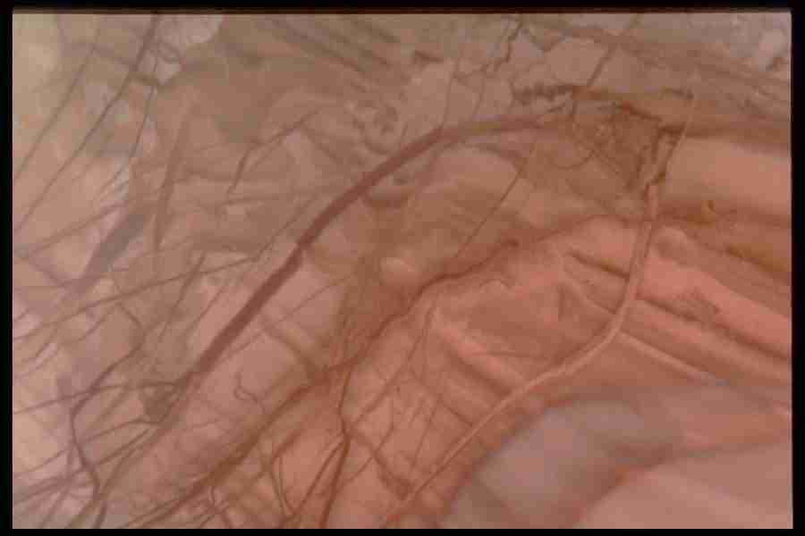 Patterns In Stone - Corel Professional Photos ></a>
<script language=JavaScript> 
  var txt = 