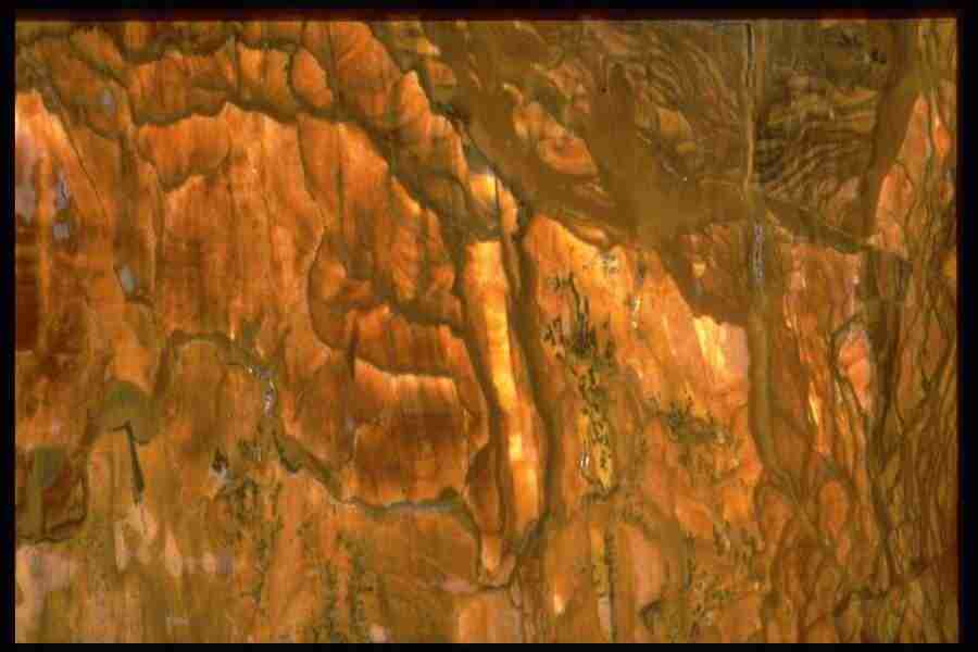 Patterns In Stone - Corel Professional Photos ></a>
<script language=JavaScript> 
  var txt = 