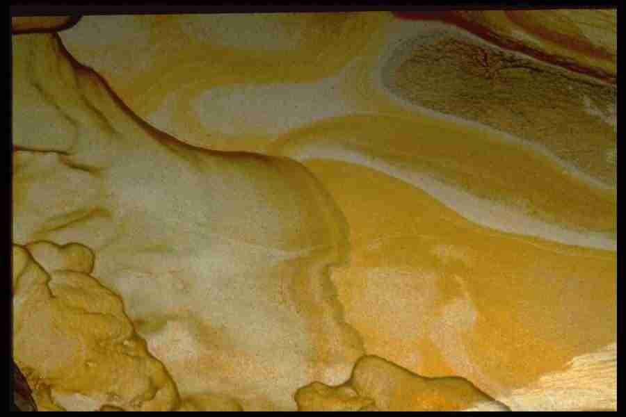 Patterns In Stone - Corel Professional Photos ></a>
<script language=JavaScript> 
  var txt = 