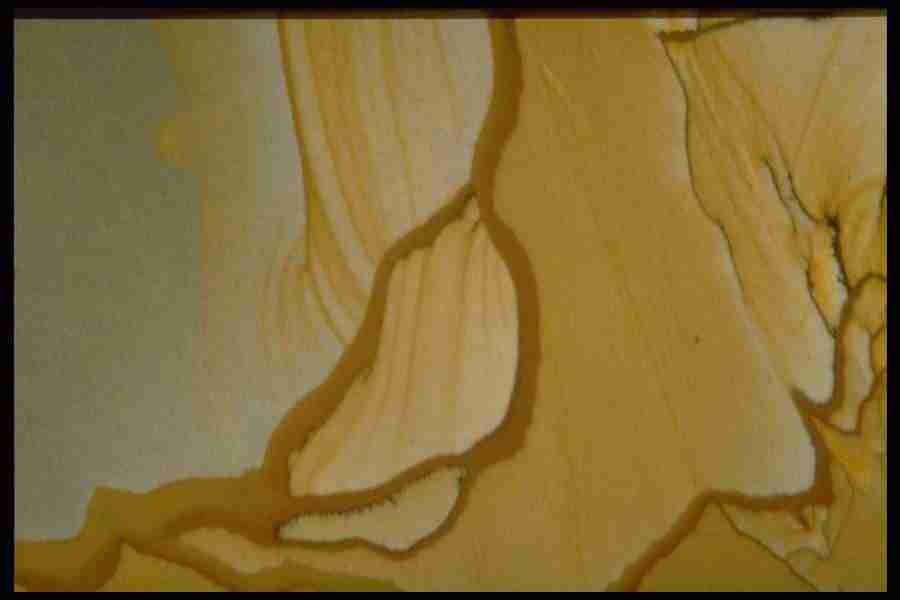 Patterns In Stone - Corel Professional Photos ></a>
<script language=JavaScript> 
  var txt = 