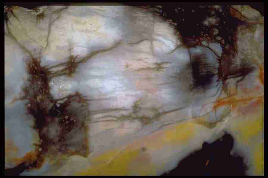 Patterns In Stone - Corel Professional Photos ></a>
<script language=JavaScript> 
  var txt = 