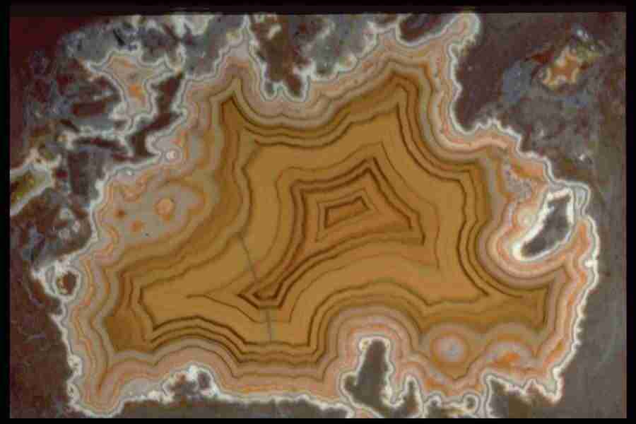 Patterns In Stone - Corel Professional Photos ></a>
<script language=JavaScript> 
  var txt = 