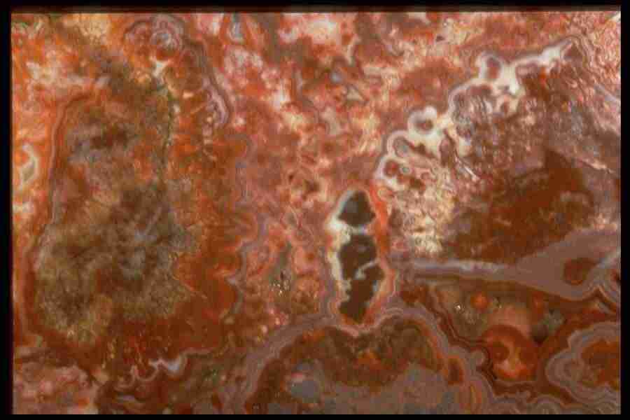 Patterns In Stone - Corel Professional Photos ></a>
<script language=JavaScript> 
  var txt = 