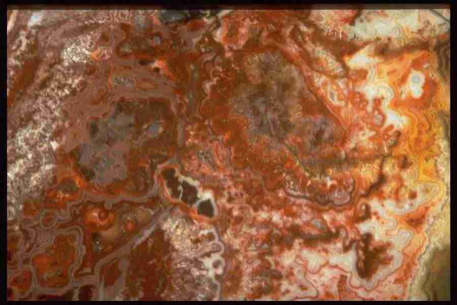 Patterns In Stone - Corel Professional Photos ></a>
<script language=JavaScript> 
  var txt = 