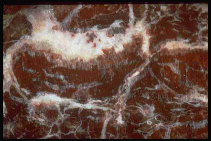 Patterns In Stone - Corel Professional Photos ></a>
<script language=JavaScript> 
  var txt = 