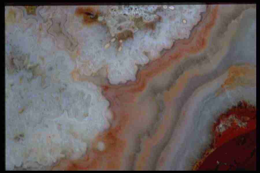 Patterns In Stone - Corel Professional Photos ></a>
<script language=JavaScript> 
  var txt = 