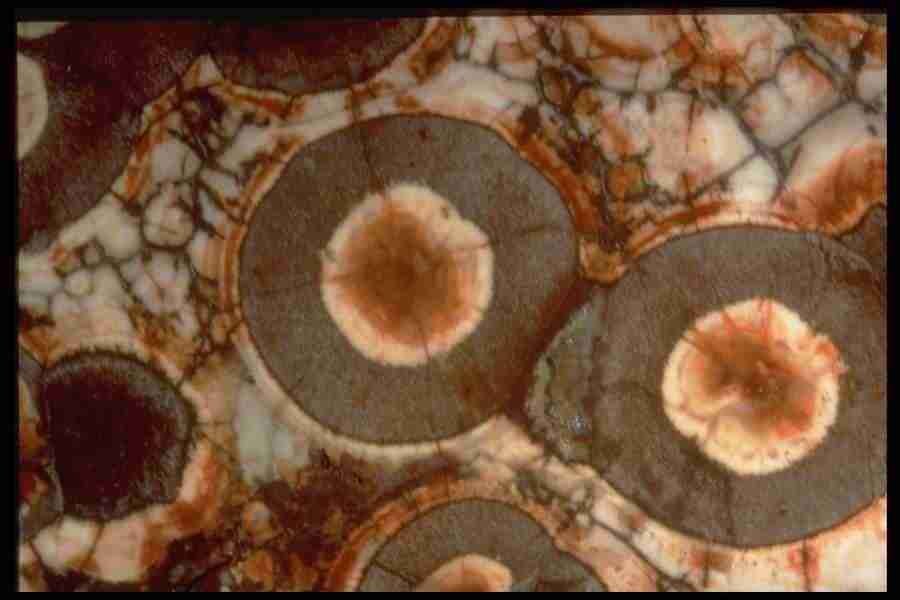 Patterns In Stone - Corel Professional Photos ></a>
<script language=JavaScript> 
  var txt = 