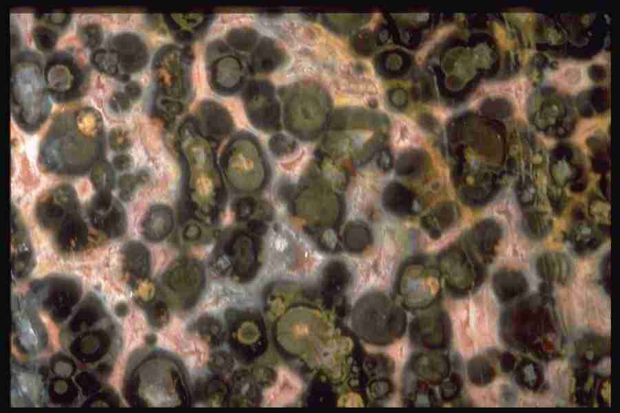 Patterns In Stone - Corel Professional Photos ></a>
<script language=JavaScript> 
  var txt = 