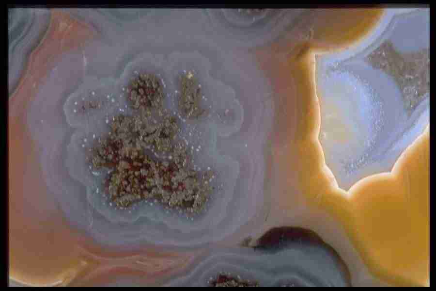 Patterns In Stone - Corel Professional Photos ></a>
<script language=JavaScript> 
  var txt = 