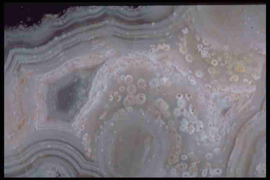 Patterns In Stone - Corel Professional Photos ></a>
<script language=JavaScript> 
  var txt = 