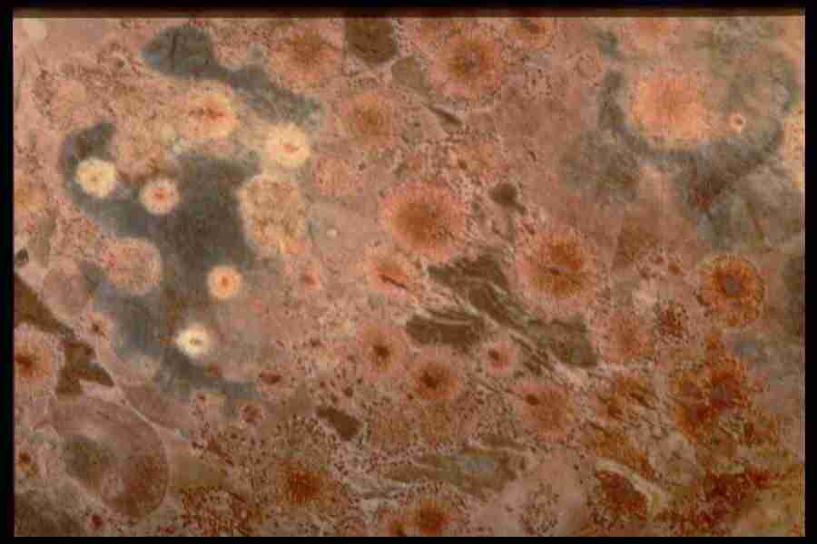 Patterns In Stone - Corel Professional Photos ></a>
<script language=JavaScript> 
  var txt = 