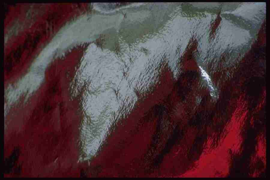 Reflective Effects - Corel Professional Photos ></a>
<script language=JavaScript> 
  var txt = 