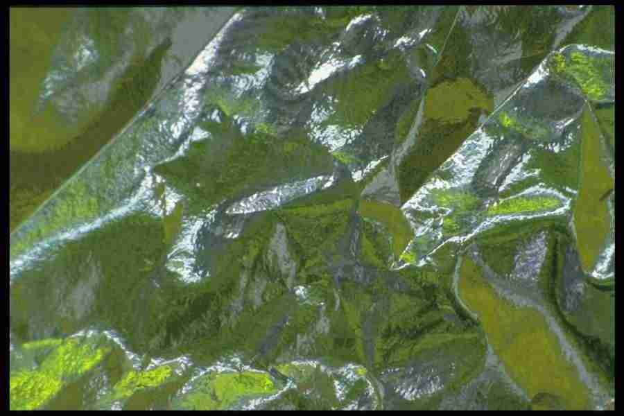 Reflective Effects - Corel Professional Photos ></a>
<script language=JavaScript> 
  var txt = 