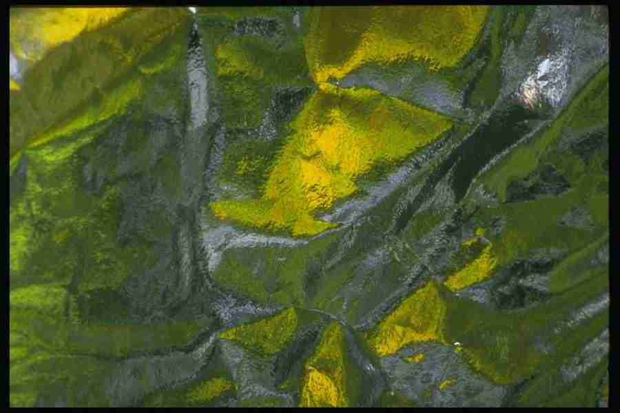 Reflective Effects - Corel Professional Photos ></a>
<script language=JavaScript> 
  var txt = 